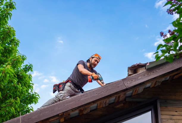 Best Storm Damage Roof Repair  in Hamilton, AL