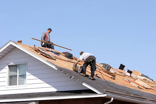 Best Cold Roofs  in Hamilton, AL