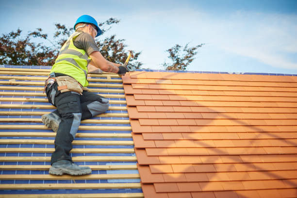 Best Gutter Installation and Repair  in Hamilton, AL